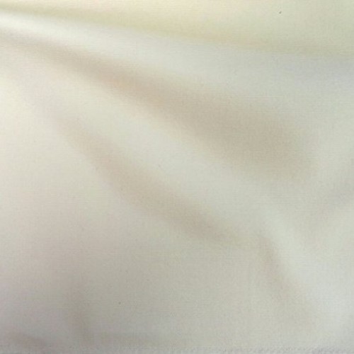 LA Linen 60-Inch 10 Oz Unprimed Cotton Duck Canvas Fabric By the Y...
