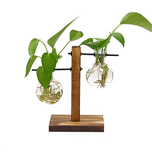 LACKINGONE Desktop Plant Terrarium with Retro Solid Wooden Stand H...