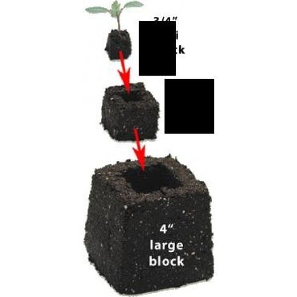 Soil Block Maker 4 Maxi