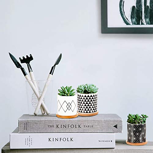 Succulent Pots 6 Pack, Laerjin 3 Inch Succulent Planters with Drai...