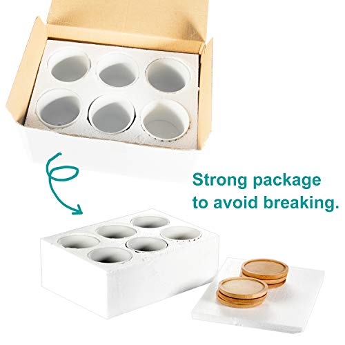 Succulent Pots 6 Pack, Laerjin 3 Inch Succulent Planters with Drai...