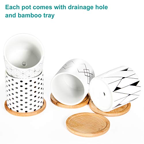 Succulent Pots 6 Pack, Laerjin 3 Inch Succulent Planters with Drai...