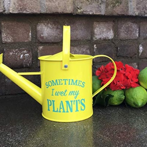 Laila and Lainey Small Indoor Watering Can - Housewarming Gardenin...