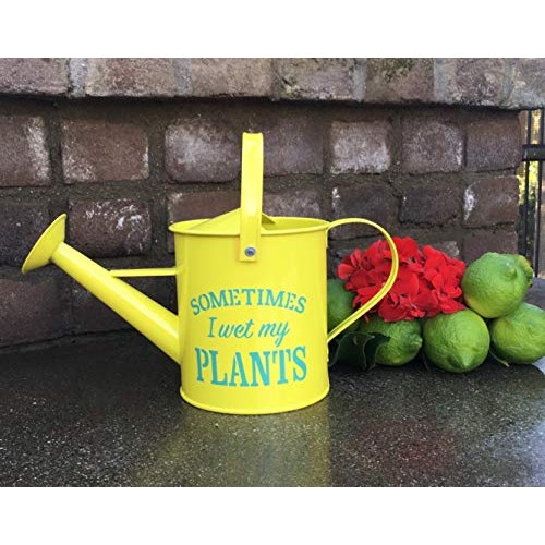 Laila and Lainey Small Indoor Watering Can - Housewarming Gardenin...