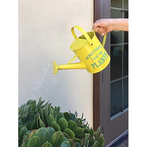Laila and Lainey Small Indoor Watering Can - Housewarming Gardenin...