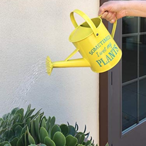Laila and Lainey Small Indoor Watering Can - Housewarming Gardenin...
