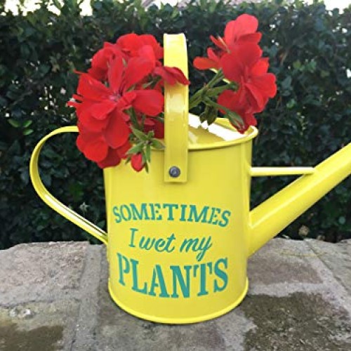 Laila and Lainey Small Indoor Watering Can - Housewarming Gardenin...