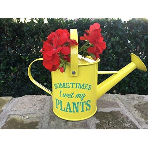 Laila and Lainey Small Indoor Watering Can - Housewarming Gardenin...