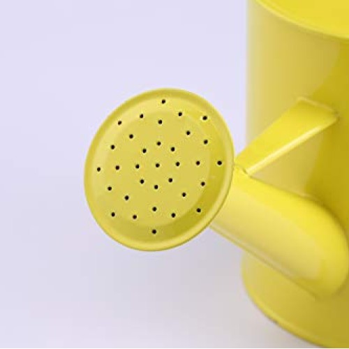 Laila and Lainey Small Indoor Watering Can - Housewarming Gardenin...