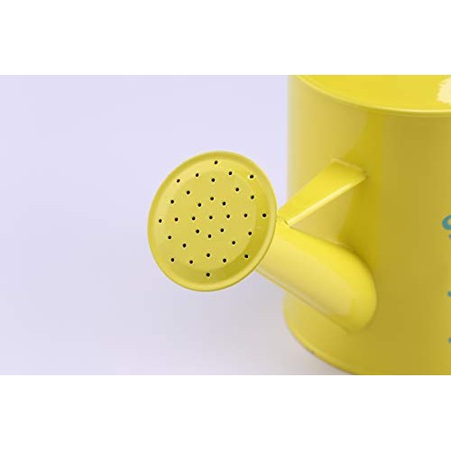 Laila and Lainey Small Indoor Watering Can - Housewarming Gardenin...