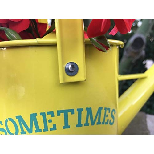Laila and Lainey Small Indoor Watering Can - Housewarming Gardenin...