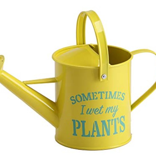 Laila and Lainey Small Indoor Watering Can - Housewarming Gardenin...