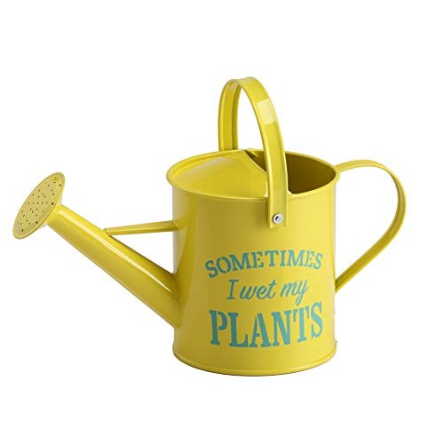 Laila and Lainey Small Indoor Watering Can - Housewarming Gardenin...