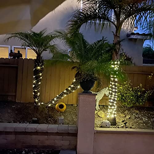Solar Rope Light Waterproof IP65 39FT 100LEDs Outdoor LED ‎Solar O...