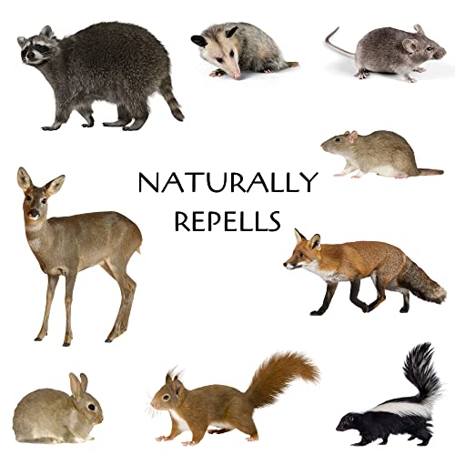Lakota Naturals Coyote Urine All Natural Animal & Rodent Repellent...