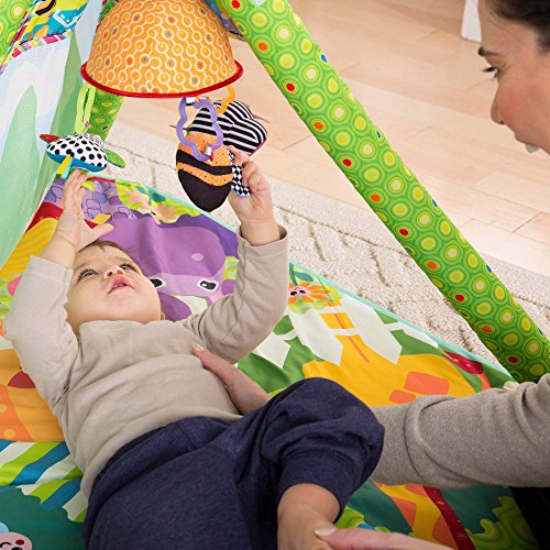 Lamaze LAMAZE - 4-in-1 Play Gym, an Open Mesh Play Tent and Tunnel...