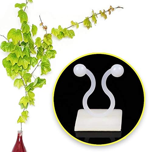 Lasyman 110PCS Plant Climbing Wall Fixture Clips-Plant Clips for V...