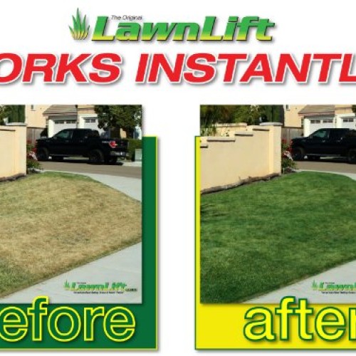 Lawnlift Pre-Mixed Grass Paint 32 Ounce Ready to Spray, No Mixing,...