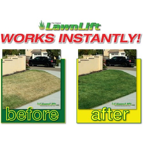 Lawnlift Pre-Mixed Grass Paint 32 Ounce Ready to Spray, No Mixing,...