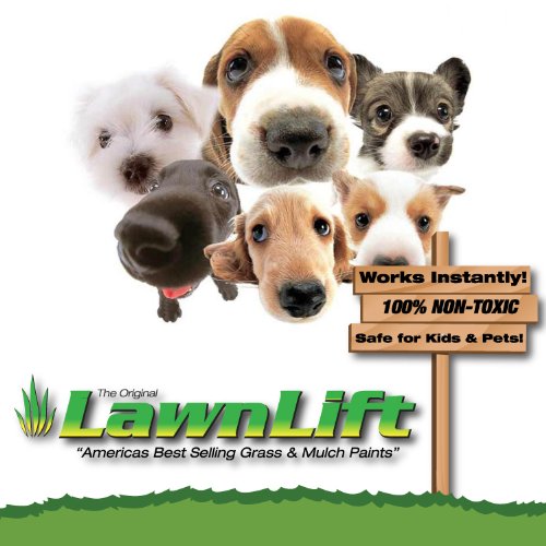 Lawnlift Pre-Mixed Grass Paint 32 Ounce Ready to Spray, No Mixing,...