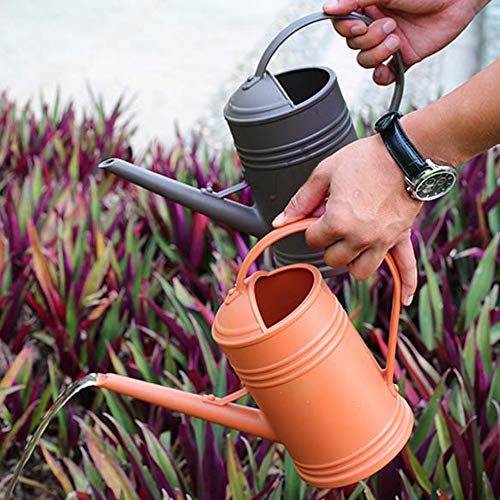 Layboo Thickening Resin Watering Can Indoor Long Spout 1L Spriking...