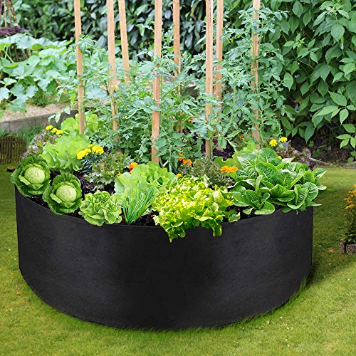 LBTING Fabric Raised Planting Bed, 2Pcs 50 Gallon Plant Grow Bags ...