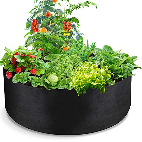 LBTING Fabric Raised Planting Bed, 2Pcs 50 Gallon Plant Grow Bags ...