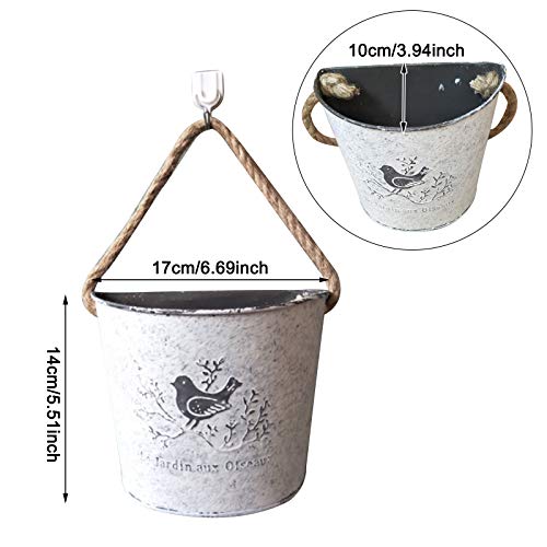 LBZE Metal Wall Planter,Indoor/Outdoor Vertical Planter Set,Holder...