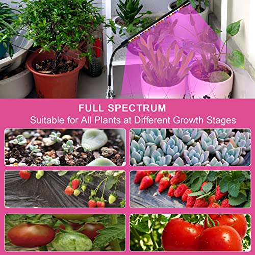 Ldmhlho LED Plant Lights with Small Tripod, Full Spectrum 20 LEDs ...