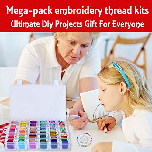 Embroidery Floss 418 Embroidery Thread String Kits with Organizer ...