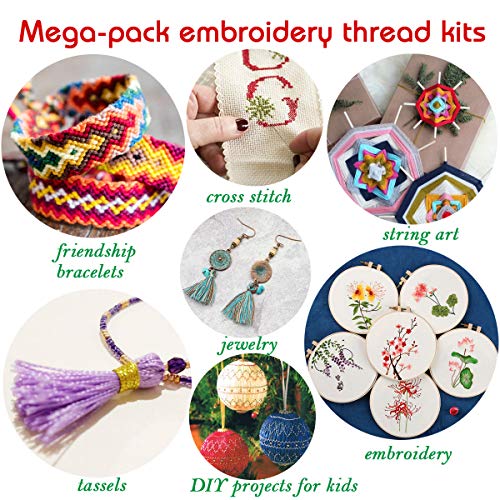 Embroidery Floss 418 Embroidery Thread String Kits with Organizer ...