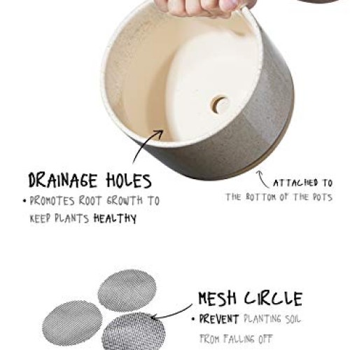 LE TAUCI 4.5 & 5.3 & 6.5 Plant Pots with Drainage Holes and Sau...