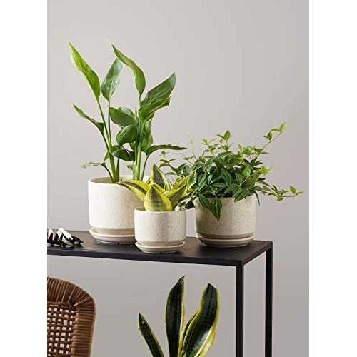 LE TAUCI 4.5 & 5.3 & 6.5 Plant Pots with Drainage Holes and Sau...