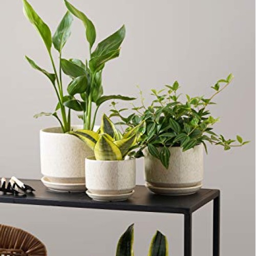 LE TAUCI 4.5 & 5.3 & 6.5 Plant Pots with Drainage Holes and Sau...
