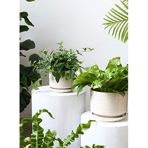 LE TAUCI 4.5 & 5.3 & 6.5 Plant Pots with Drainage Holes and Sau...