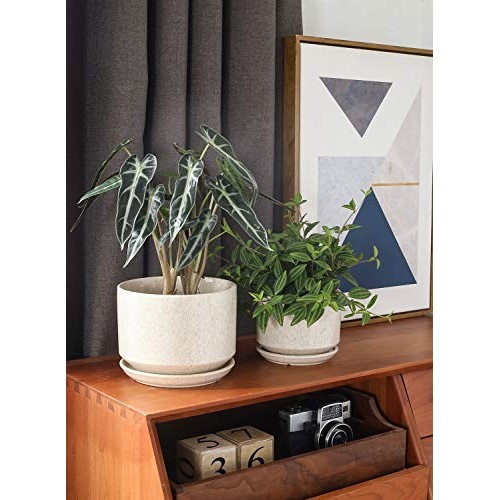 LE TAUCI 4.5 & 5.3 & 6.5 Plant Pots with Drainage Holes and Sau...
