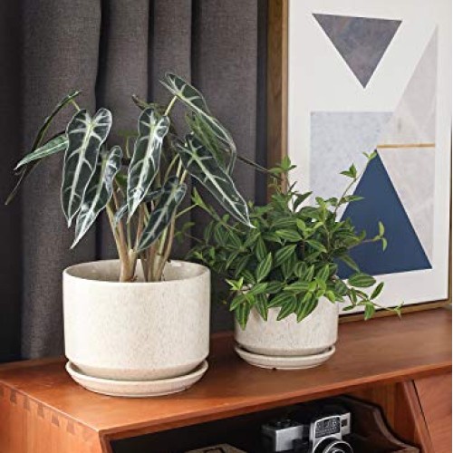 LE TAUCI 4.5 & 5.3 & 6.5 Plant Pots with Drainage Holes and Sau...