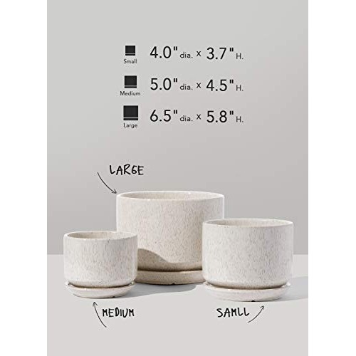 LE TAUCI 4.5 & 5.3 & 6.5 Plant Pots with Drainage Holes and Sau...
