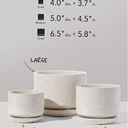 LE TAUCI 4.5 & 5.3 & 6.5 Plant Pots with Drainage Holes and Sau...