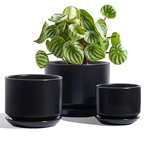 LE TAUCI Plant Pots with Drainage Hole and Saucer, 4+5.5+6.6 Inch ...