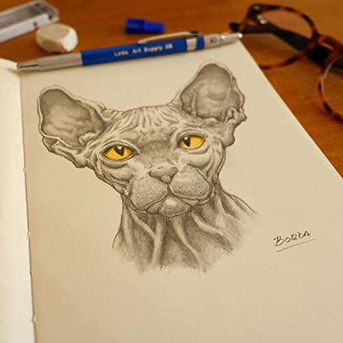 Leda Art Supply 160 Pages Softbound Cover Sketchbook for Artists