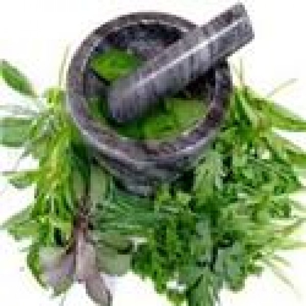 ALCAT 40 Male Herbs Panel
