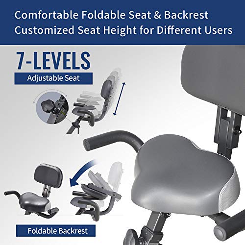 leikefitness LEIKE X Bike Ultra-Quiet Folding Exercise Bike, Magne...