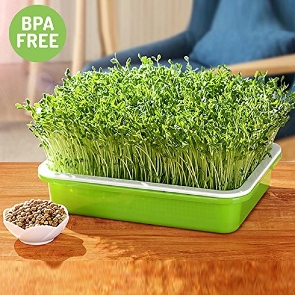 Seed Sprouter Tray BPA Free PP Soil-Free Big Capacity Healthy Whea...