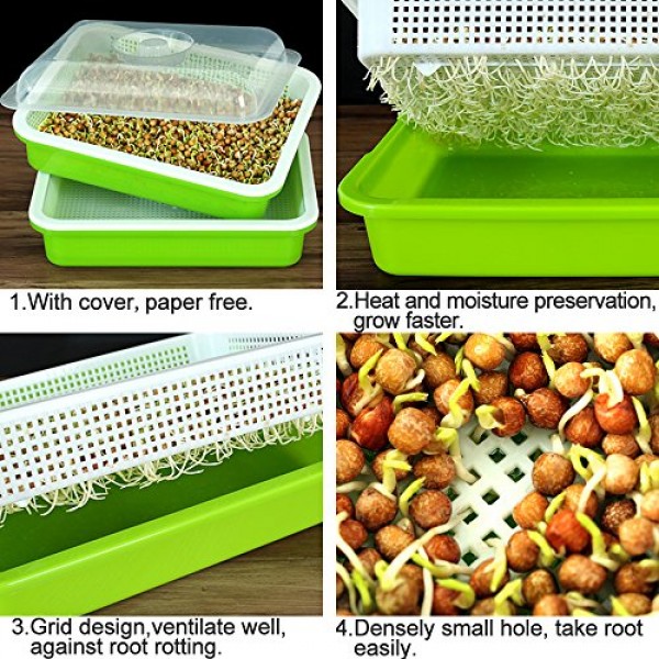 Seed Sprouter Tray BPA Free PP Soil-Free Big Capacity Healthy Whea...