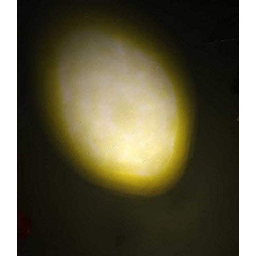 LemonBest 10w Warm White LED Underwater Light Spotlight Flood Lamp...
