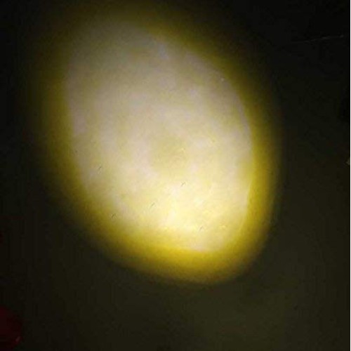 LemonBest 10w Warm White LED Underwater Light Spotlight Flood Lamp...