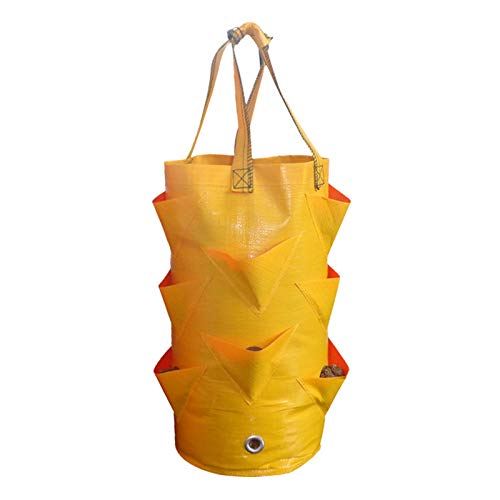 LemonG Strawberry Grow Bag, 3 Gallon Gardens Vertical Hanging Plan...