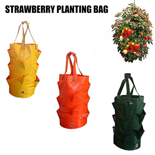 LemonG Strawberry Grow Bag, 3 Gallon Gardens Vertical Hanging Plan...