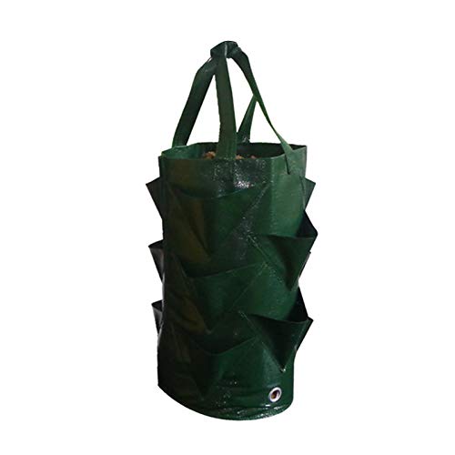 LemonG Strawberry Grow Bag, 3 Gallon Gardens Vertical Hanging Plan...